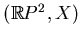 $ (\mathbb{R}P^2,X)$